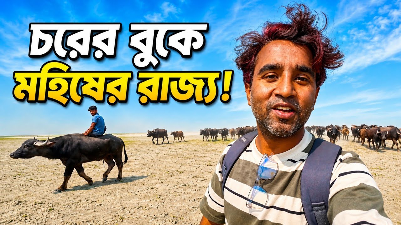 মহিষ ও রাখালদের জীবন | গরু-মহিষের বিশাল খামার | Jamuna | rubel on tour ...