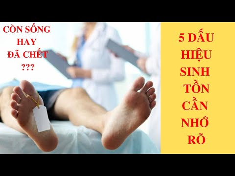 Video 5 DẤU HIỆU SINH TỒN phân biệt người CÒN SỐNG hay ĐÃ... - youtube