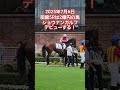 2025年7月6日函館5Rメイクデビュー函館2歳新馬戦!噂の2億円の馬ショウナンガルフのパドック #horse #函館競馬場 #競馬 #中央競馬 #プロ馬券師集団桜花 #メイクデビュー #新馬戦
