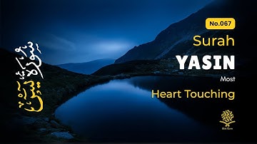 Calming Surah Yaseen for Insomnia Relief, Stress, Mental Calm ✦ Quran Lofi Vibes ✦ سورة يس