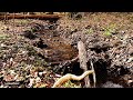 Bachlauf im Wald zum Entspannen thumbnail
