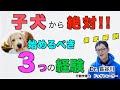 【子犬のしつけの決定版】『子犬から始めるべき３つの経験』を徹底解説！ 成犬になった時に困ったワンコにならないように、小さい頃からどんな経験を積ませた方がいいのでしょうか。