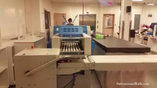 Cows Creamery Factory Tour - Charlottetown PEI