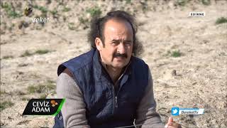 Fidan Dikim Yerlerinin İşaretlenmesi