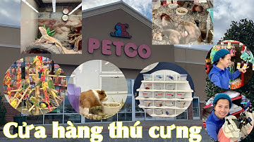 Dạo vòng quanh cửa hàng dành cho thú cưng ở Mỹ- cưng xỉu với những món đồ #pets #petstore #shopping