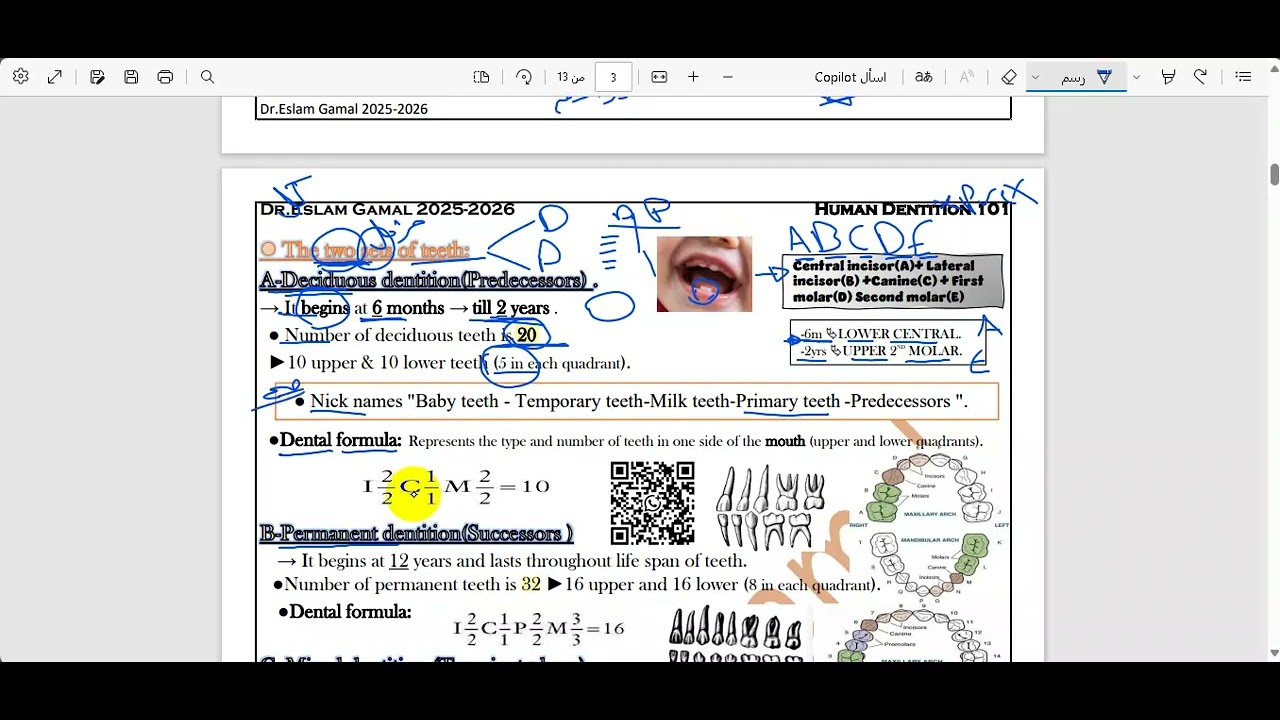INTRODUCTION HDENT 101  MUST  PART 2