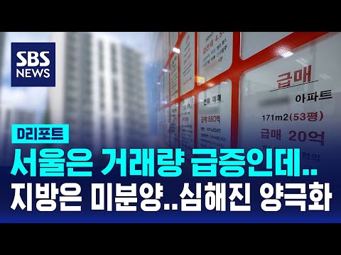 서울은 거래량 급증, 지방은 미분양 급증…심해지는 양극화 / SBS  / #<strong>D리포트</strong>