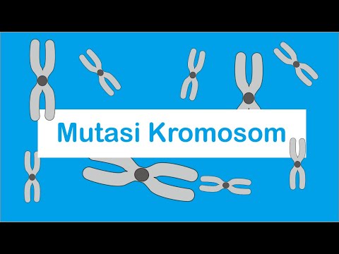 Video: Apakah jenis mutasi kromosom?