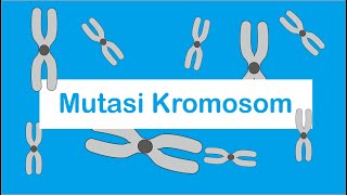 Download Lagu Mutasi Kromosom