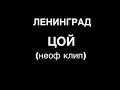 ЛЕНИНГРАД. ЦОЙ.