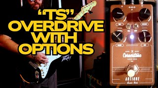 Cornerstone Antique V2: A Different Take On A TS Overdrive - YouTube