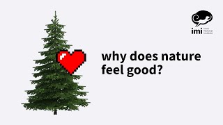 Why does nature feel good?