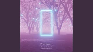 Reunion (rhubiqs Remix) (feat. rhubiqs)