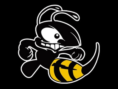 Discraft Buzzz OS