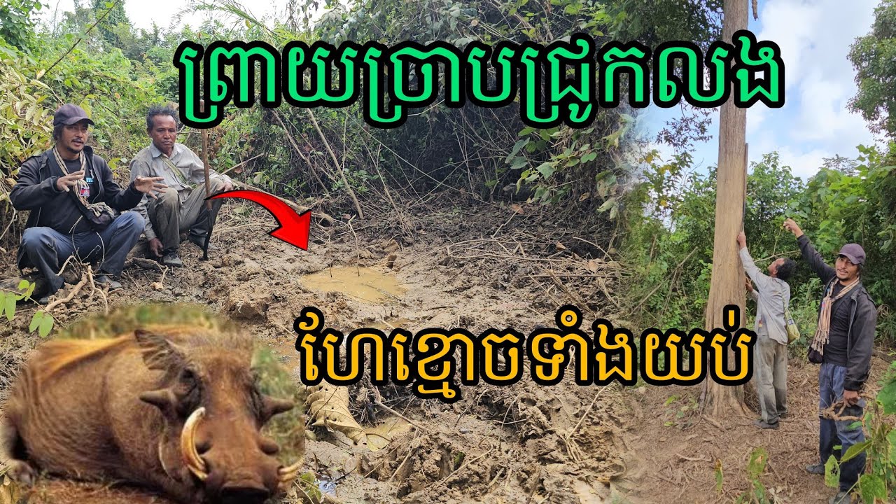ព្រាយច្រាបជ្រូកលងហែខ្មោចទាំងយប់