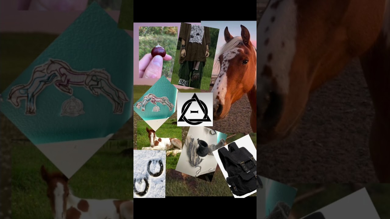 For all the horse therians 