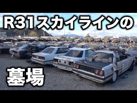 R31スカイラインが400台以上積んである怪しい会社に突撃取材！! A suspicious company with over 400 R31 Skylines!  ?