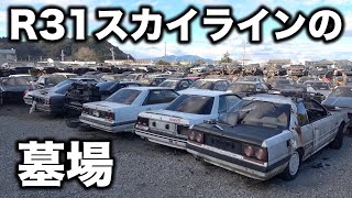 スカイライン　R31  スカッフプレート　　※フォロー割OK mqdefault.jpg