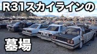 R31スカイラインが400台以上積んである怪しい会社に突撃取材！! A suspicious company with over 400 R31 Skylines!  ?