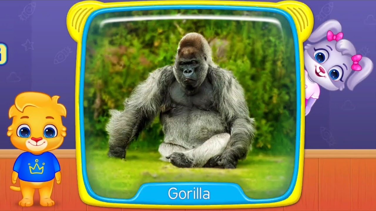 Animal & Object | Kids preschool learning - YouTube