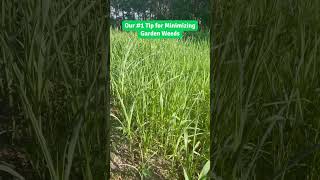 The Best Way To Reduce Garden Weeds