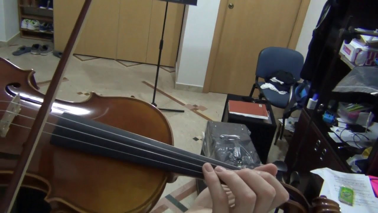 A Violent Encounter - Shadow Of Colossus - Violin Cover