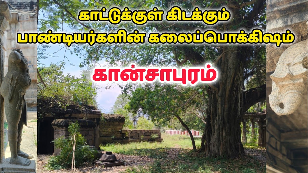 காட்டுக்குள் கிடக்கும் பாண்டியர்களின் கலை | Minute Traveller | Tamilnadu History | Kansapuram | Vlog