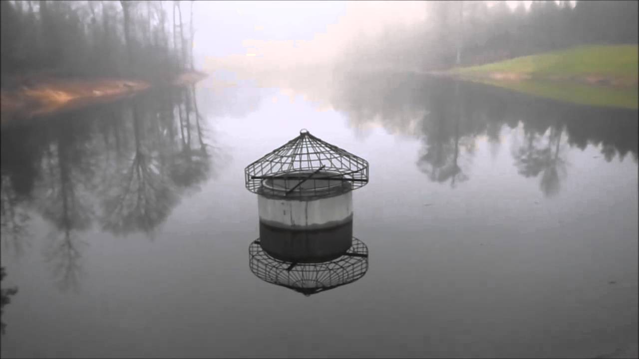 Lake Job Update YouTube