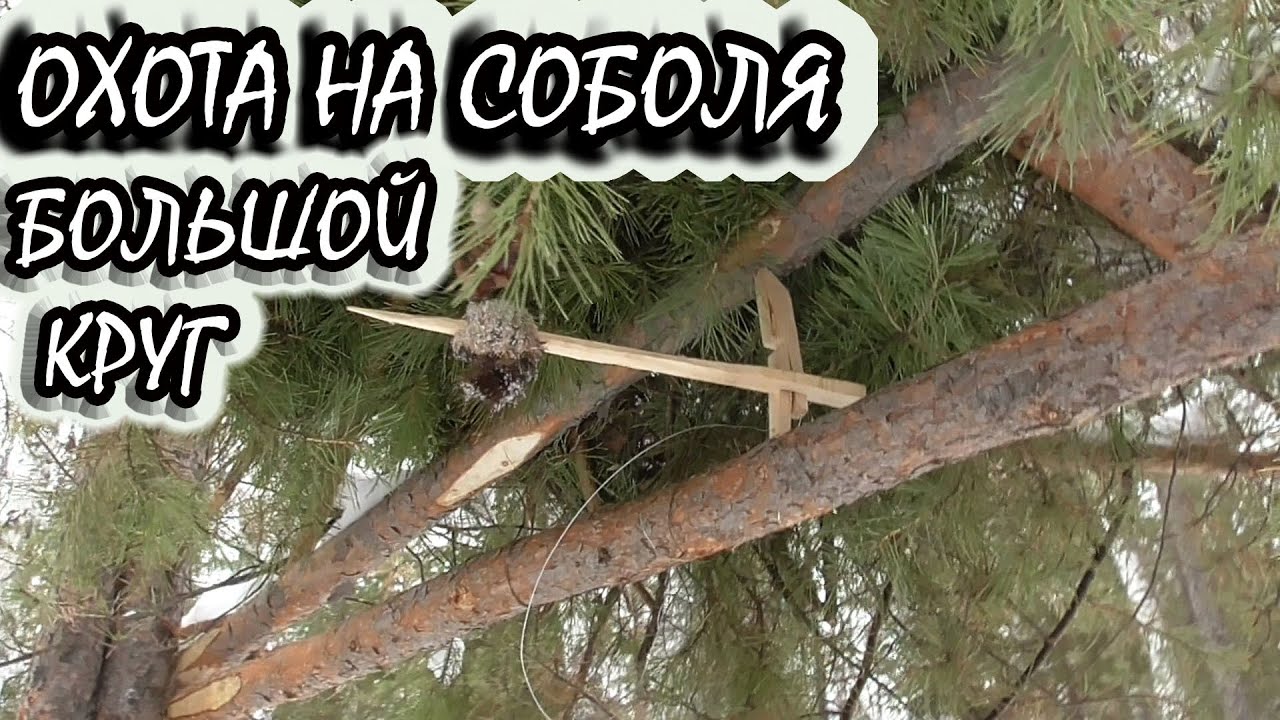 Логан на дальняк Логан на дальняк