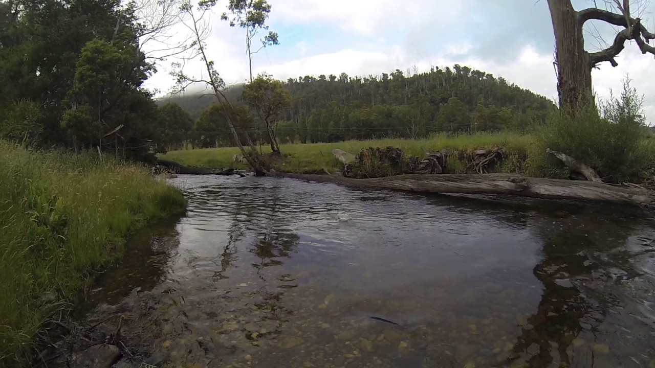 fly fishing melbourne YouTube