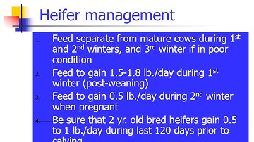 Beef Heifer Development series, session 6