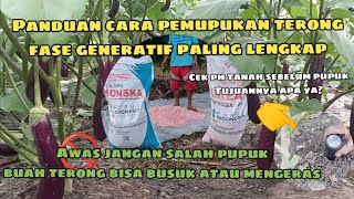 cara pemupukan terong fase generatif / panduan pemupukan terong fase generatif paling lengkap