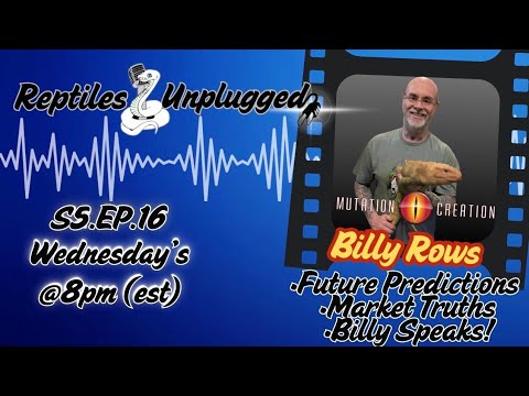 Mutation Creation Talks Market Trends, Cycles & Future Predictions | Billy Rows Unplugged