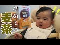 【生後5か月赤ちゃん】人生初の麦茶に挑戦！その反応は？【離乳食準備】