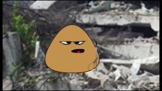 Pou needs help Guide