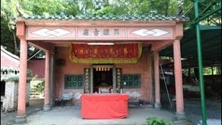 乙巳年米埔隴村第六十七屆仙師千秋寶誕瑞麟排獅表演