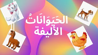 معلومات عامة عن الحيوانات / للأطفال / الحيوانات الأليفة