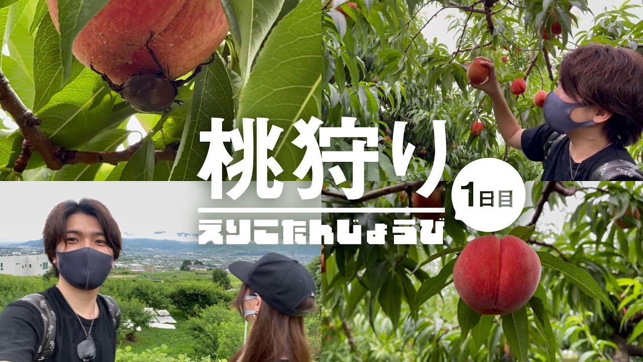 【理想園】妻がずっと行きたいと言っていた桃狩り行ってみた【誕生日】