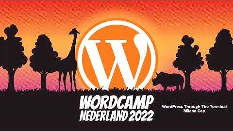 Milana Cap: WORDPRESS THROUGH THE TERMINAL