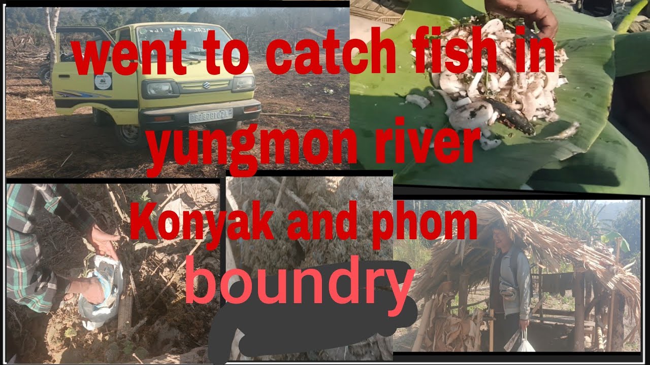 Konyak and phom boundry 