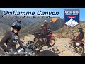 Oriflamme Canyon Bonnier Adv Rally | Motoz vs. VeeMoto HItman 55 | Krios Pro