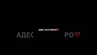 С праздником Всаурэн Тавэл о Празднико бахтало пэ вся народо!💕🤌🏻 #Патради😻