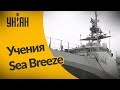 В Черном море проходят военные учения Sea Breeze