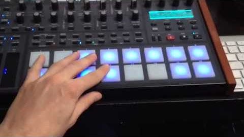 Dave smith tempest analog kick