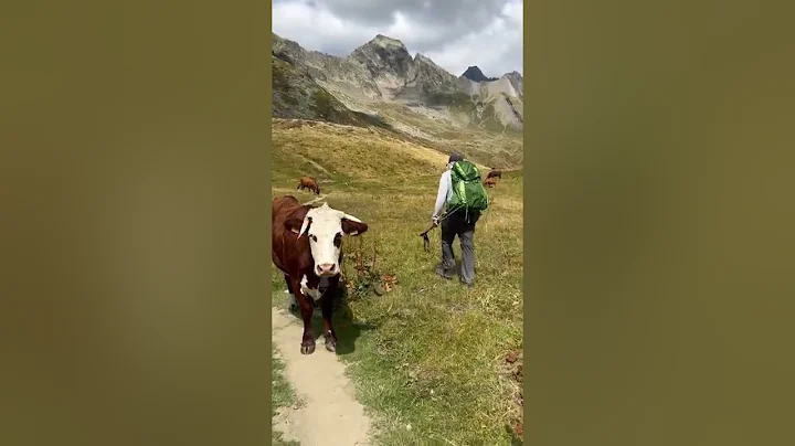 Tour de Mont Blanc