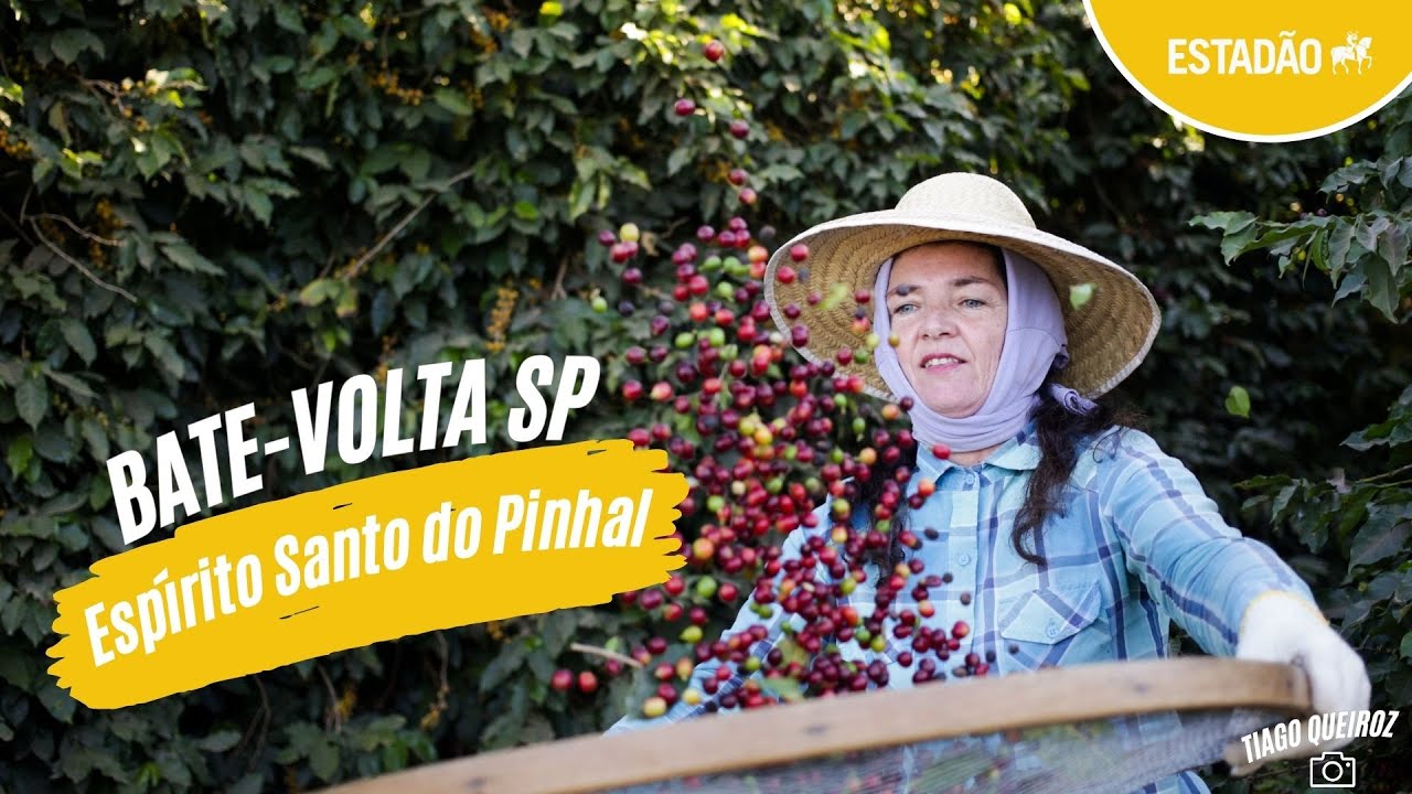 Bate-Volta: Espírito Santo do Pinhal, a terra do café e do vinho