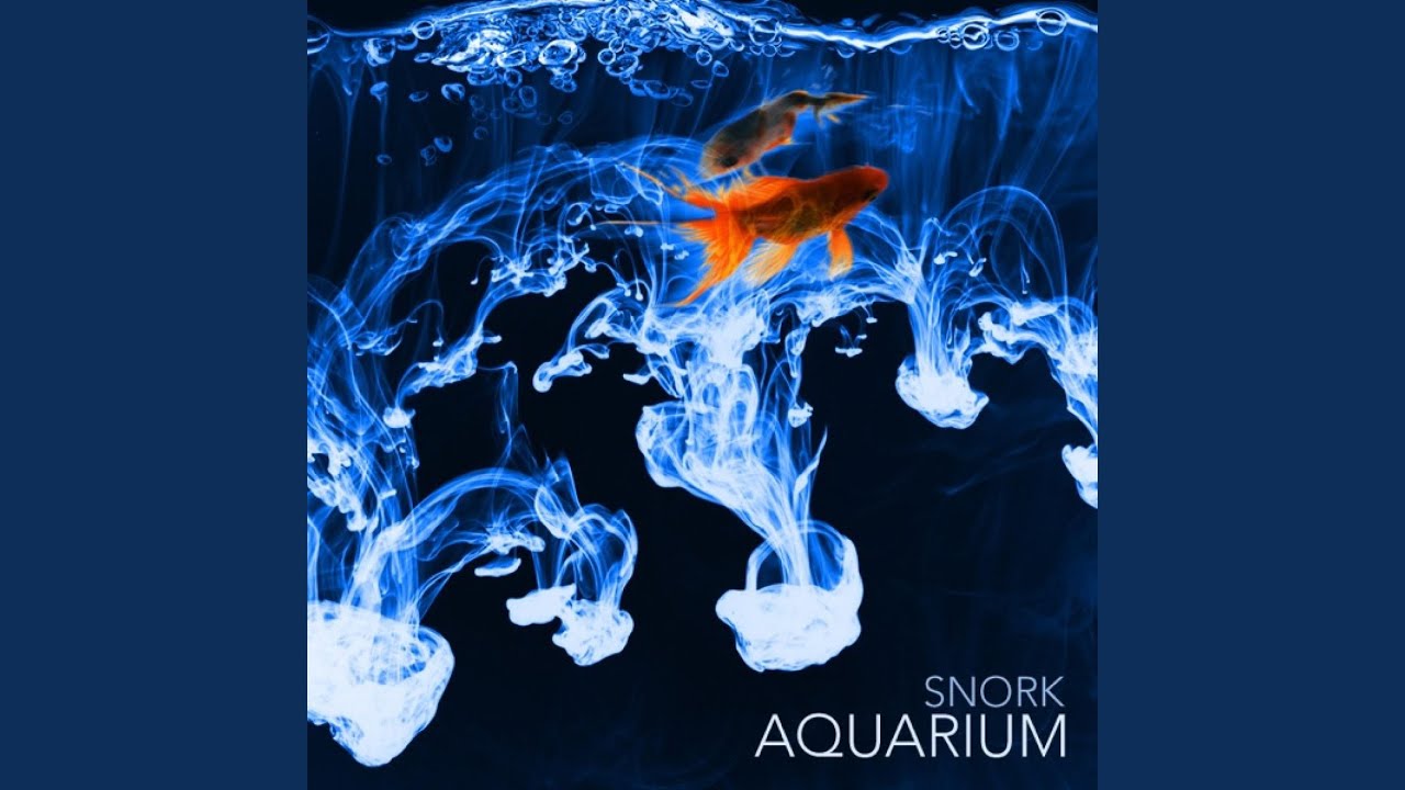 Watch aquarium on YouTube Watch aquarium on YouTube