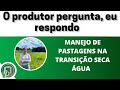 MANEJO DE  PASTAGENS NA TRANSIÇÃO SECA ÁGUAS