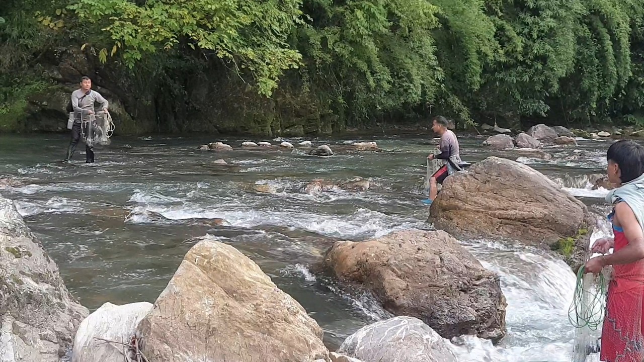 ASALA FISHING IN NEPAL | LATE UPLOAD | BUNCH OF GUYS FISHING HIMALAYAN TROUT | CAST NETTING |