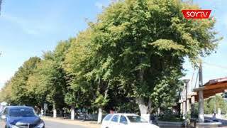 Paillaco registra otra vez la mayor cantidad de contagios en Los Ríos: Tiene nueve de los…